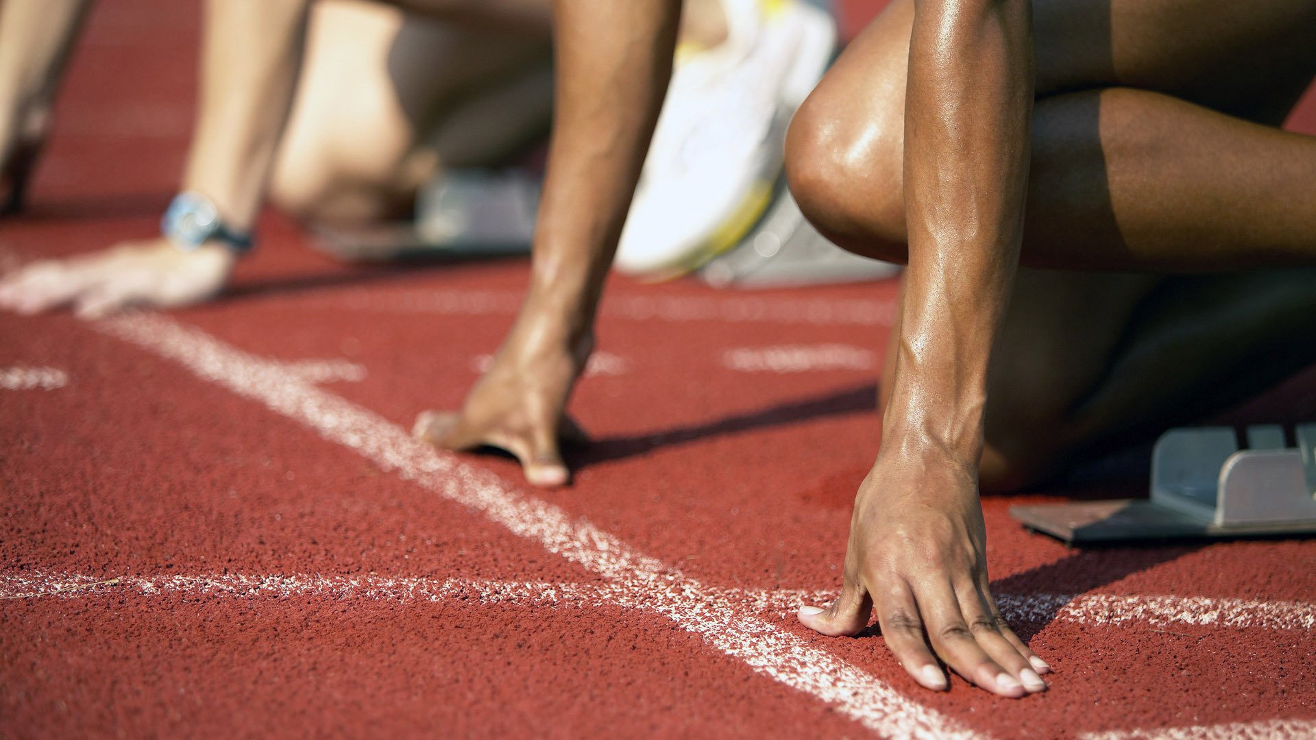 全国马术障碍赛，骑师挑战极限的精彩瞬间，马术障碍比赛